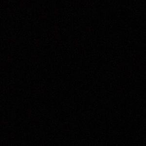 Meet your Posher, Ally